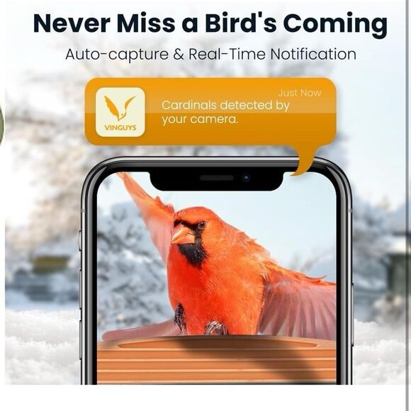 Smart Bird Feeder Camera Solar Powered - Picture 2 of 3